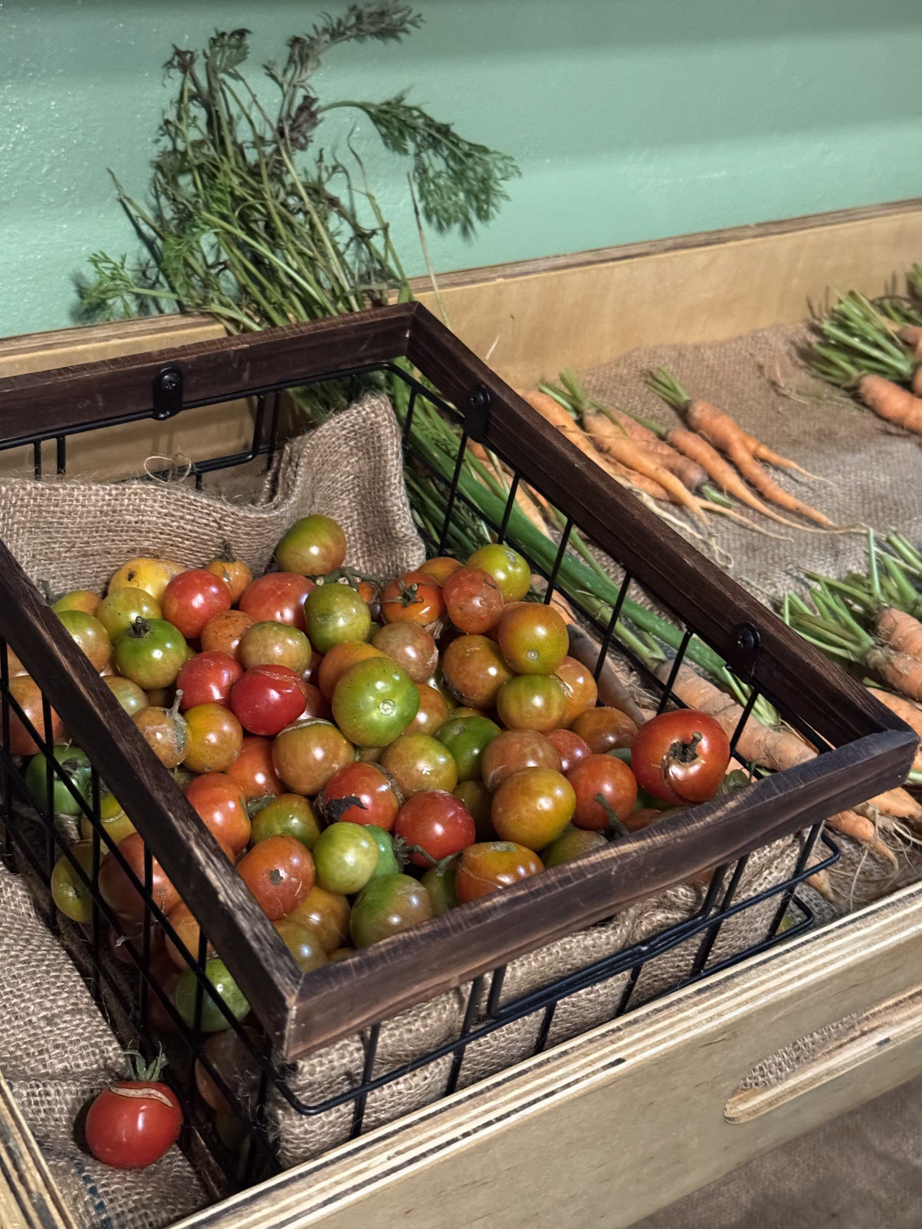 Tomates de colores